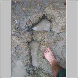 100_0596 (2009-26-07)m.JPG